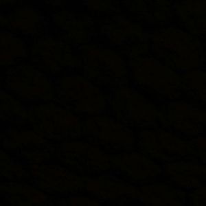 Meet your Posher, Bella